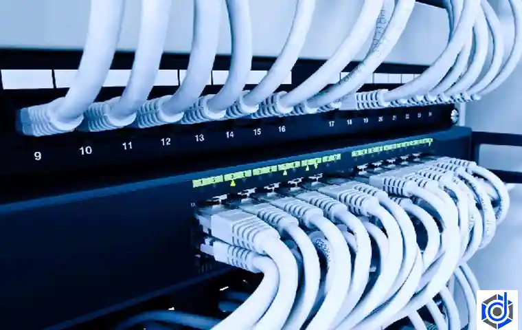 پچ کورد فیبر نوری چیست